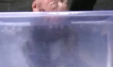 Vrhunac Bonovog seksa je mom and son film sex