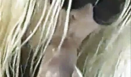 Jeftini stream sex film lokalni pokrivanje pratnja puhati